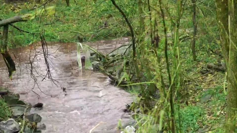Creek with sound Video stock 75388868