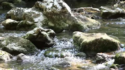 Creek spring scene Video stock 18193137