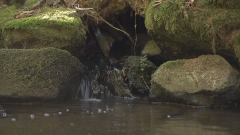 Creek spring waterfall Stock Footage 97938600