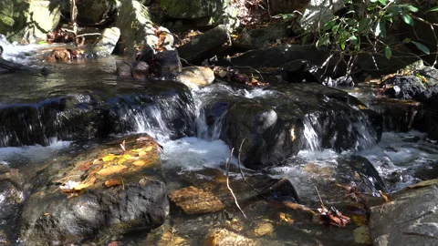 Creek Stream Flowing Threw the Mountains of Tennessee. Stock Footage 143229580