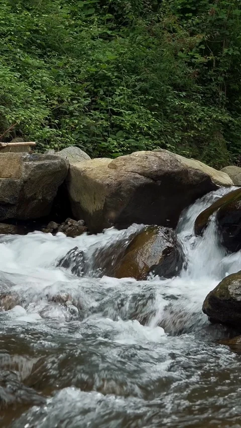 Creek, stream or small and quick mountain river with crystal clear flowing water Stock Footage 310796981