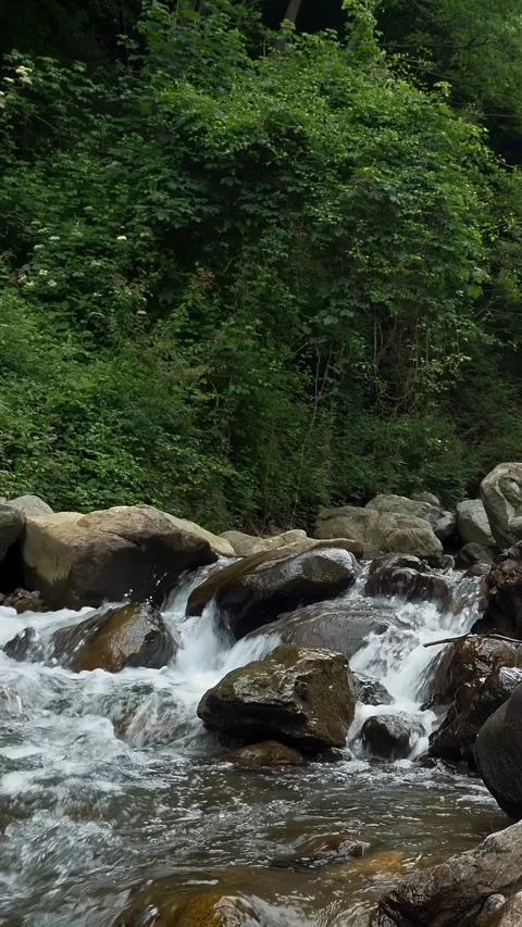 Creek, stream or small and quick mountain river with crystal clear flowing water Stock Footage 311992568