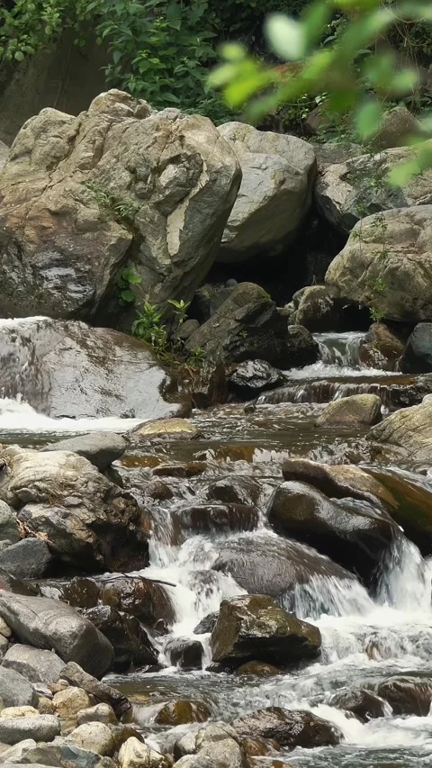 Creek, stream or small and quick mountain river with crystal clear flowing water Stock Footage 315940692