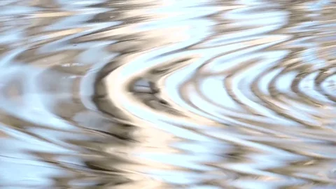 Creek, stream, river - drop of water, the water patterns Stock Footage 83692209