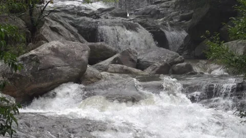 Creek in the summer Video stock 151918893