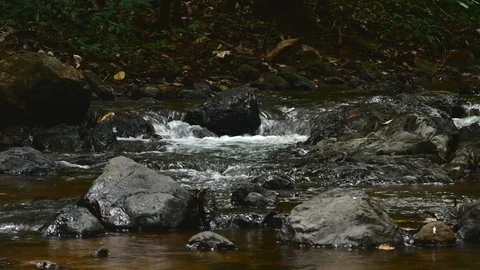 Creek tight Stock Footage 126726195