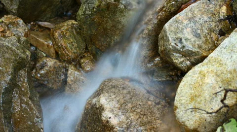 Creek timelapse Stock Footage 739785