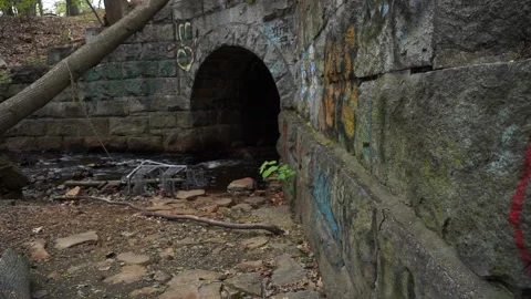 CREEK TUNNEL Stock Footage 194456412