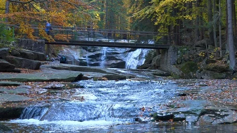 Creek under a bridge in a forest 스톡 동영상 109596016