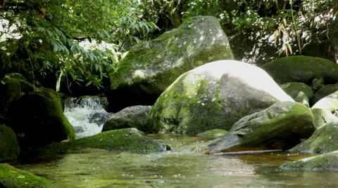 Creek view Stock Footage 34145384