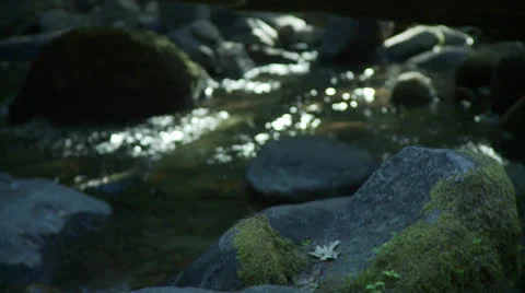 Creek water and focus pull Stock Footage 23390872