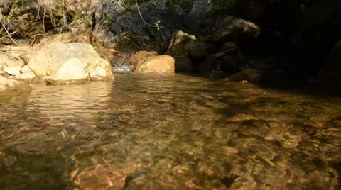 Creek water close up Vídeo Stock 8623847