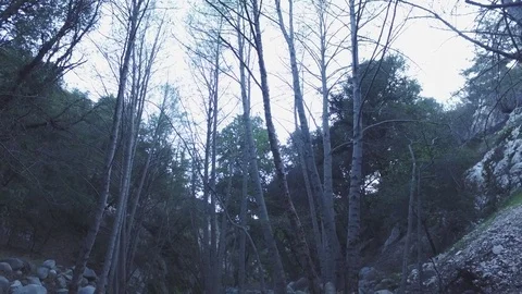 Creek of water down stream  Stock Footage 73436920