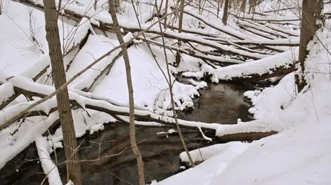 Creek water flow broken trees winter forest cover snow Stock Footage 22375845