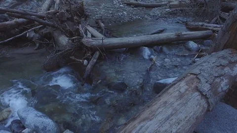 Creek with water flowing down stream Video stock 73436928