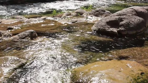 Creek Water Flows down away to Pool Vídeo Stock 78033676