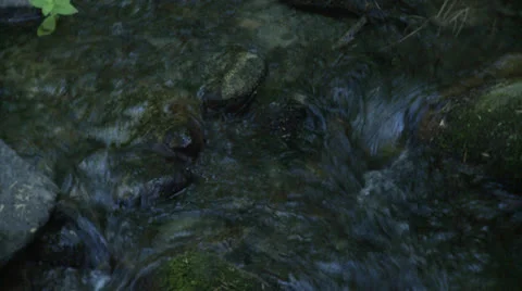 Creek water Stock Footage 23390845