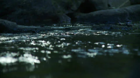 At creek water level Stock Footage 23390595