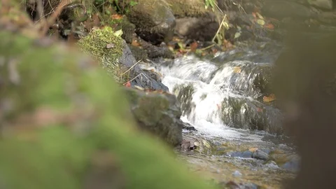 Creek waterfall in autmn Stock Footage 97939671