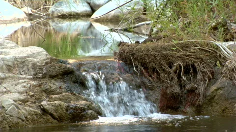 Creek Waterfall Video stock 500875
