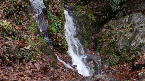 Creek waterfall 스톡 동영상 82533975