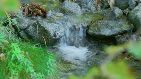 Creek waterfall forest rocks water handheld pan shot Stock Footage 346915467