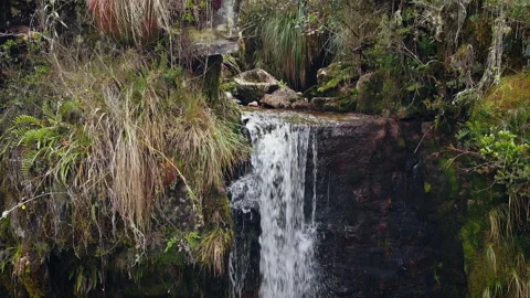 CREEK WATERFALL, PARAMO EL VERJON, HD Stock-Footage 163387497
