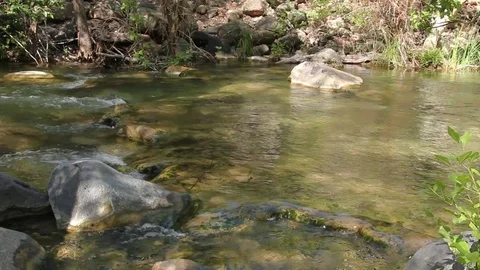 Creek Waters Gently Moving Stock Footage 78035044