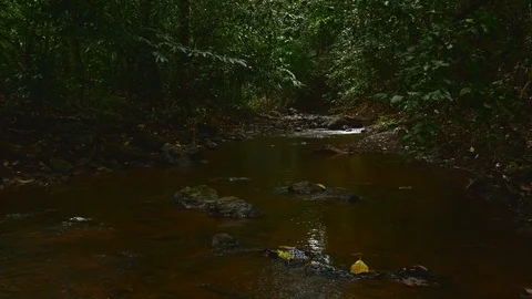 Creek wide Stock Footage 126726052