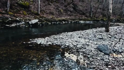 Creek in winter Stock Footage 205313423