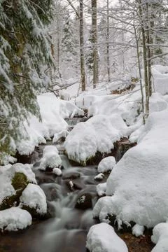 Creek in winter Stock Photos