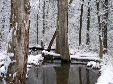 The Creek in Winter Stock Photos