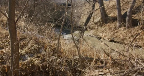 Creek in the Winter Time Video stock 234148857