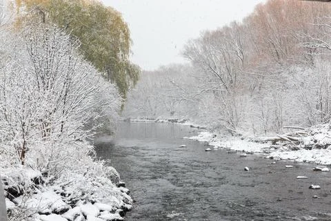 Creek in winter time Stock Photos