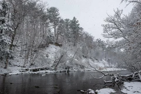 Creek in winter time Stock Photos