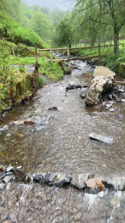 A creek in the woods Stock Footage 309885979