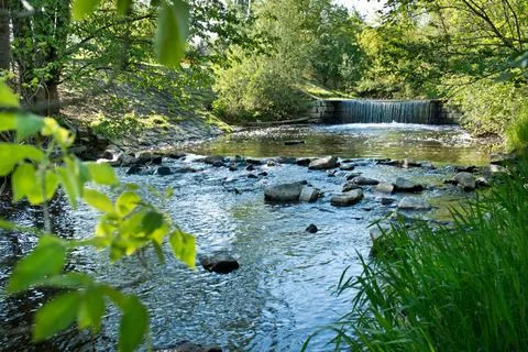 Creek with wortex in the summertime. Stock Photos