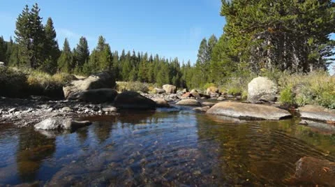 Creek, Yosemite Stock Footage 12089925