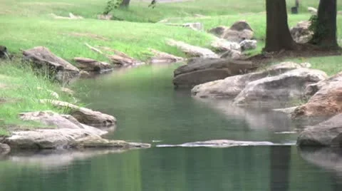 Creek1 Vidéo 10743284