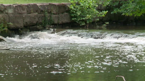 Creek1 Stock Footage 24696768