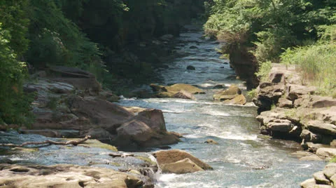 Creek2 Stock Footage 24695811