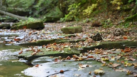 Creek4K02 Stock Footage 168317310