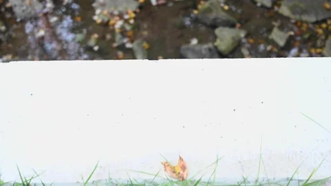 Creek4K03 Video stock 168317307