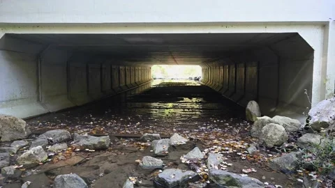 Creek4K04 Video stock 168317308