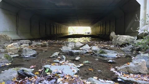 Creek4K05 Stock Footage 168317309