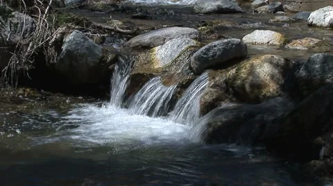 Creek_5 Stock Footage 5164590