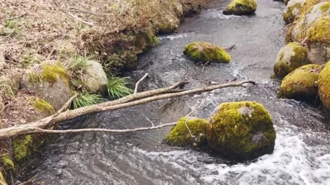 CreekRockslowmo Stock Footage 235968000