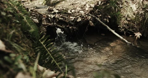 Creek's Knickpoint Stock Footage 141945724