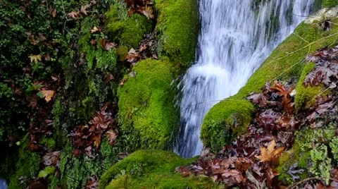 Creek's Waterfall Stock Footage 10855069