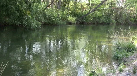 Creekside Stock Footage 845343